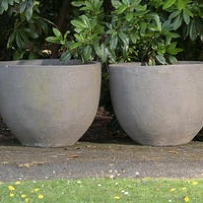 Vases Planter